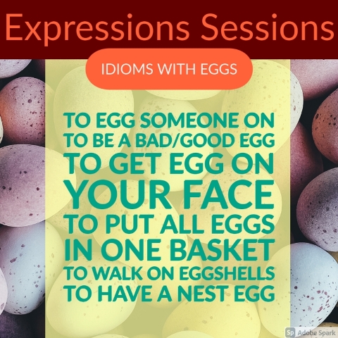 expressions sessions eggs