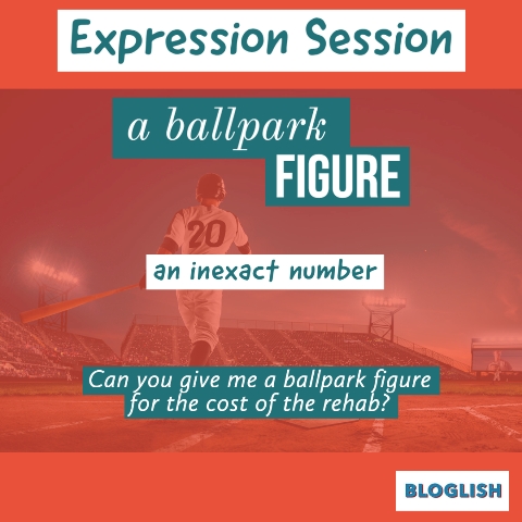 English Expressions: ballpark figure